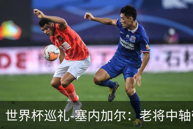 世界杯巡礼-塞内加尔：老将中轴带来安全感，非洲顶流前景可期！