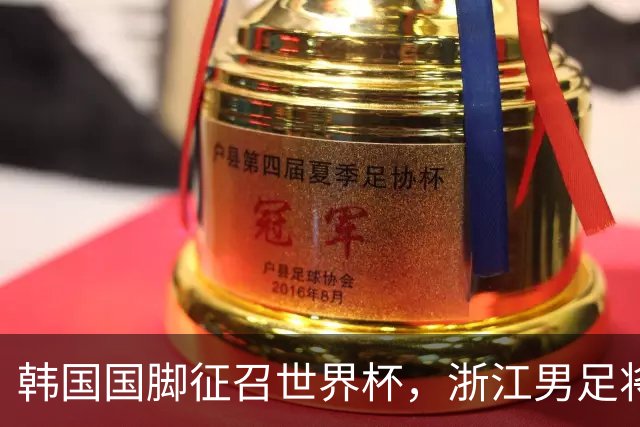 韩国国脚征召世界杯，浙江男足将获得可观补偿